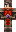 Plostroy Minecraft Skin