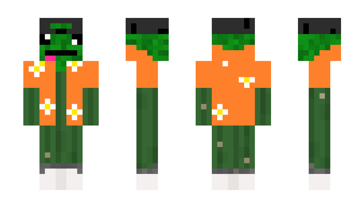 Kajtek3434 Minecraft Skin