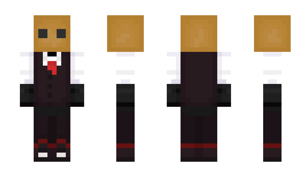 ThePaperBagDude Minecraft Skin