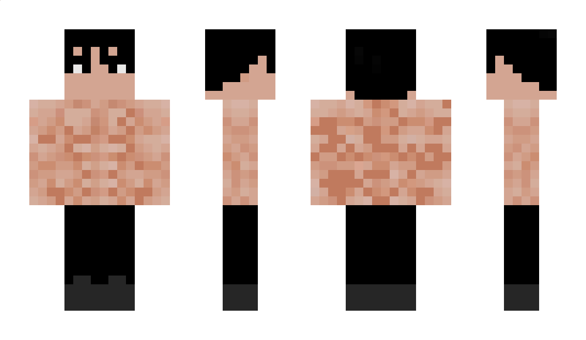 SDN11 Minecraft Skin