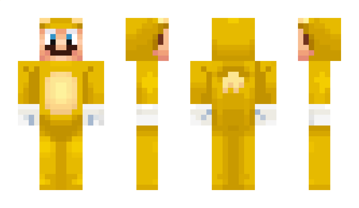 netherpi_ Minecraft Skin