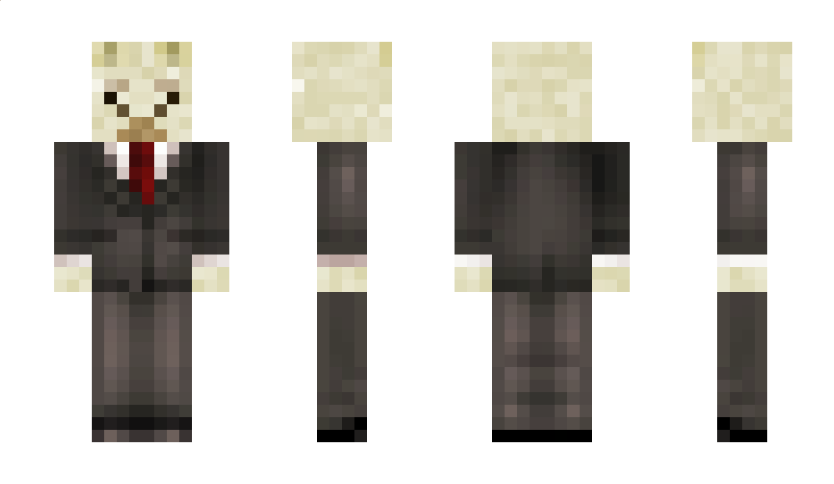 Illamma Minecraft Skin