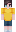 poketminations Minecraft Skin