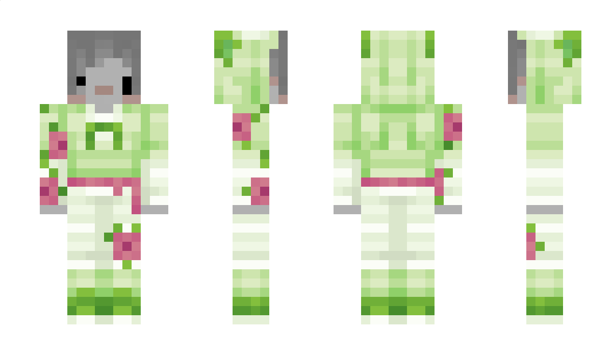 Norol Minecraft Skin