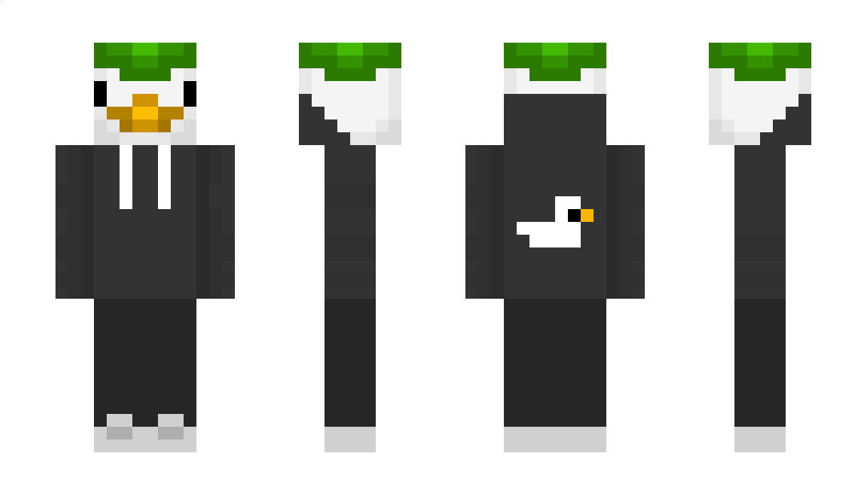 Hippopotabum Minecraft Skin