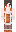 Foexes Minecraft Skin