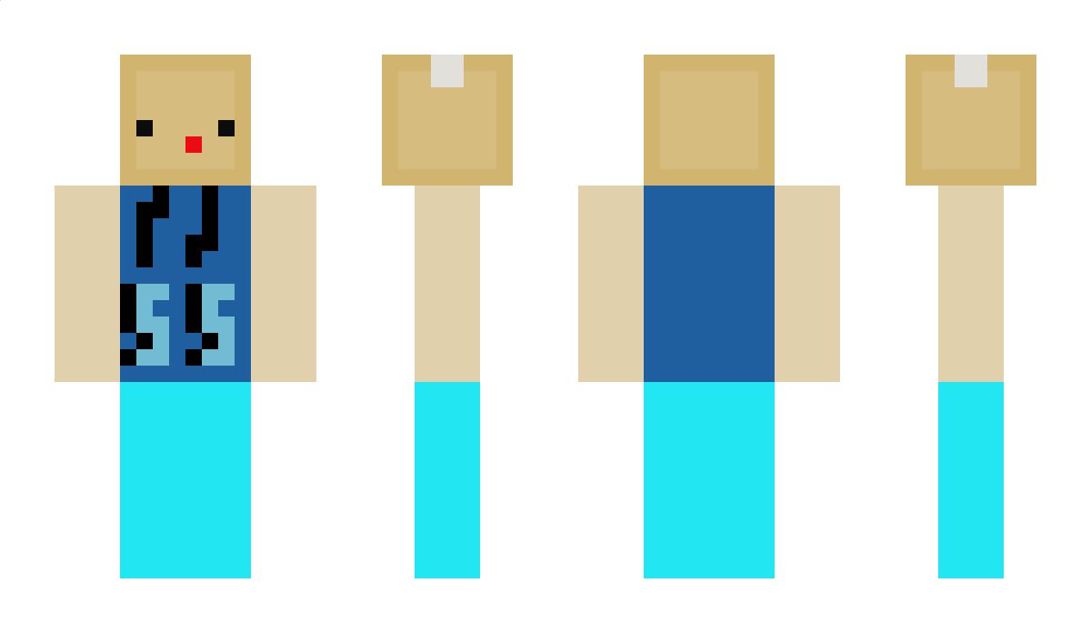 SwordSeries Minecraft Skin