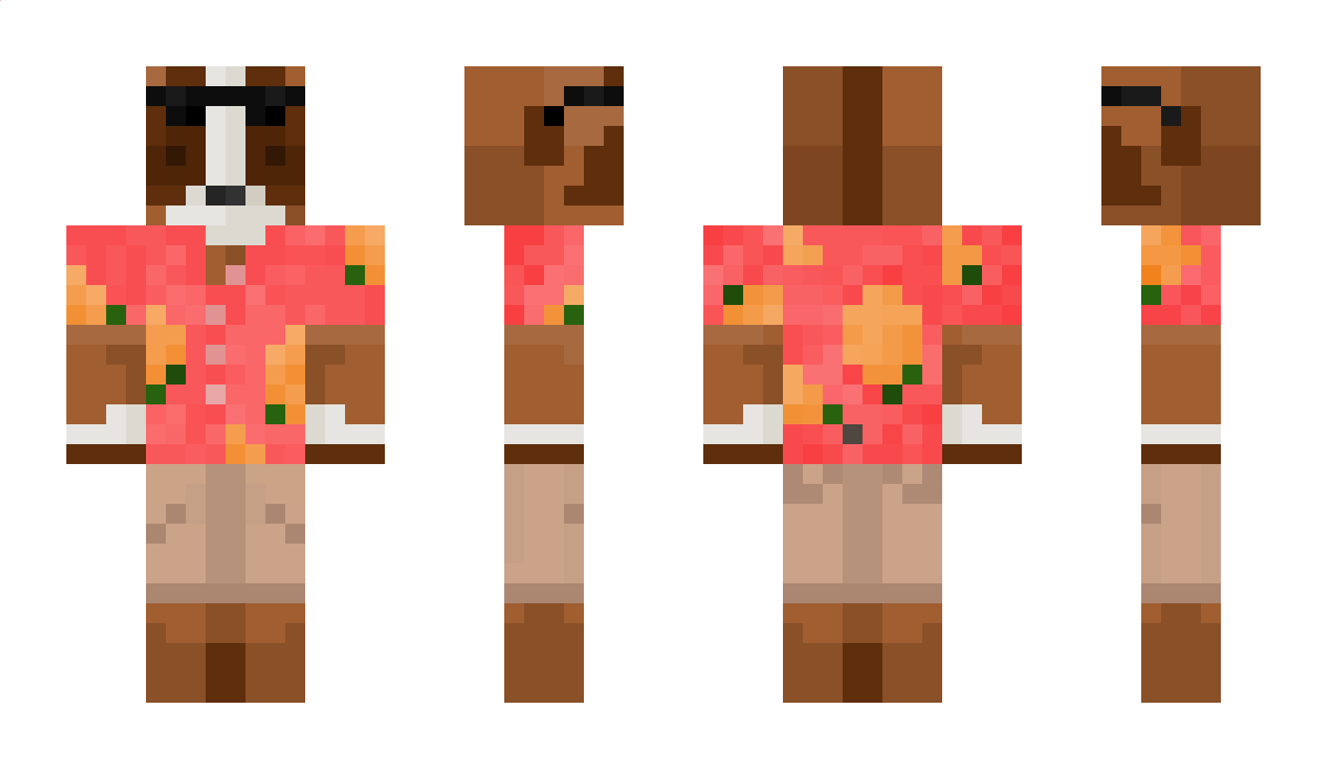 briarhill Minecraft Skin