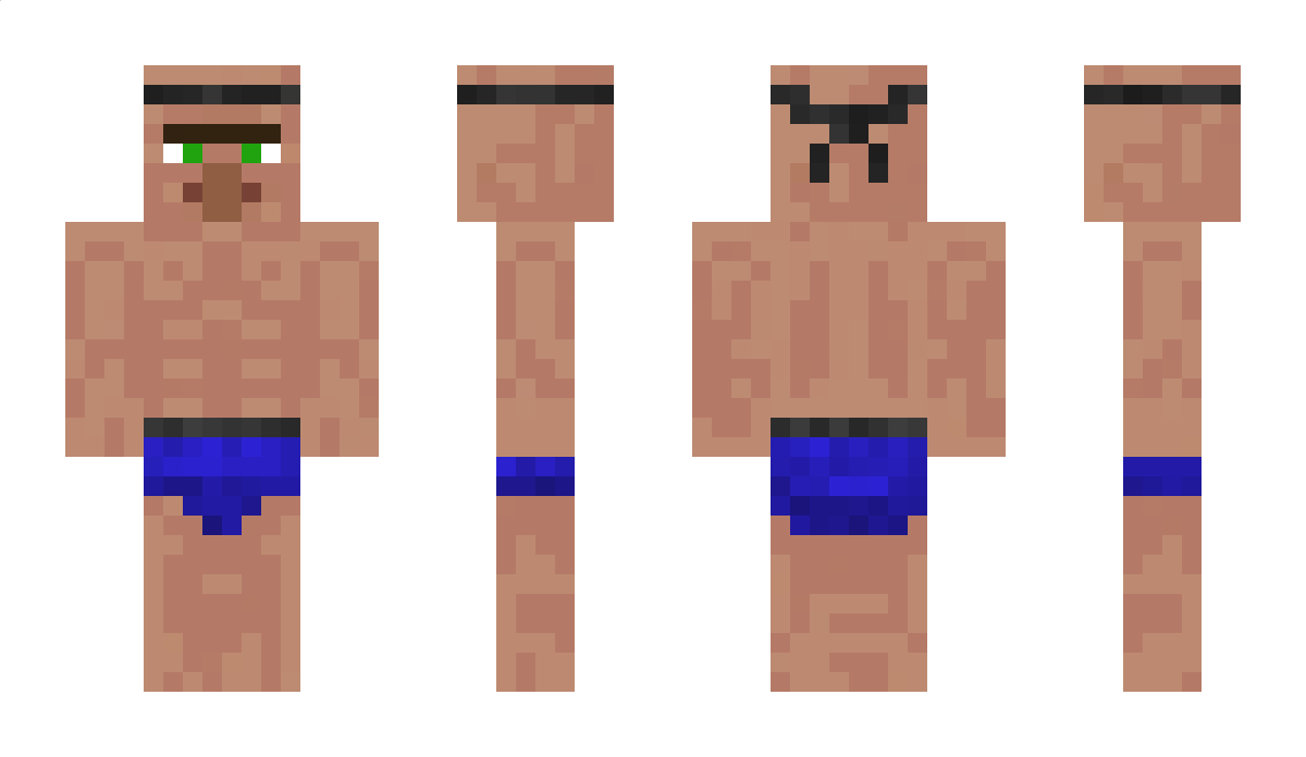 Wondl Minecraft Skin