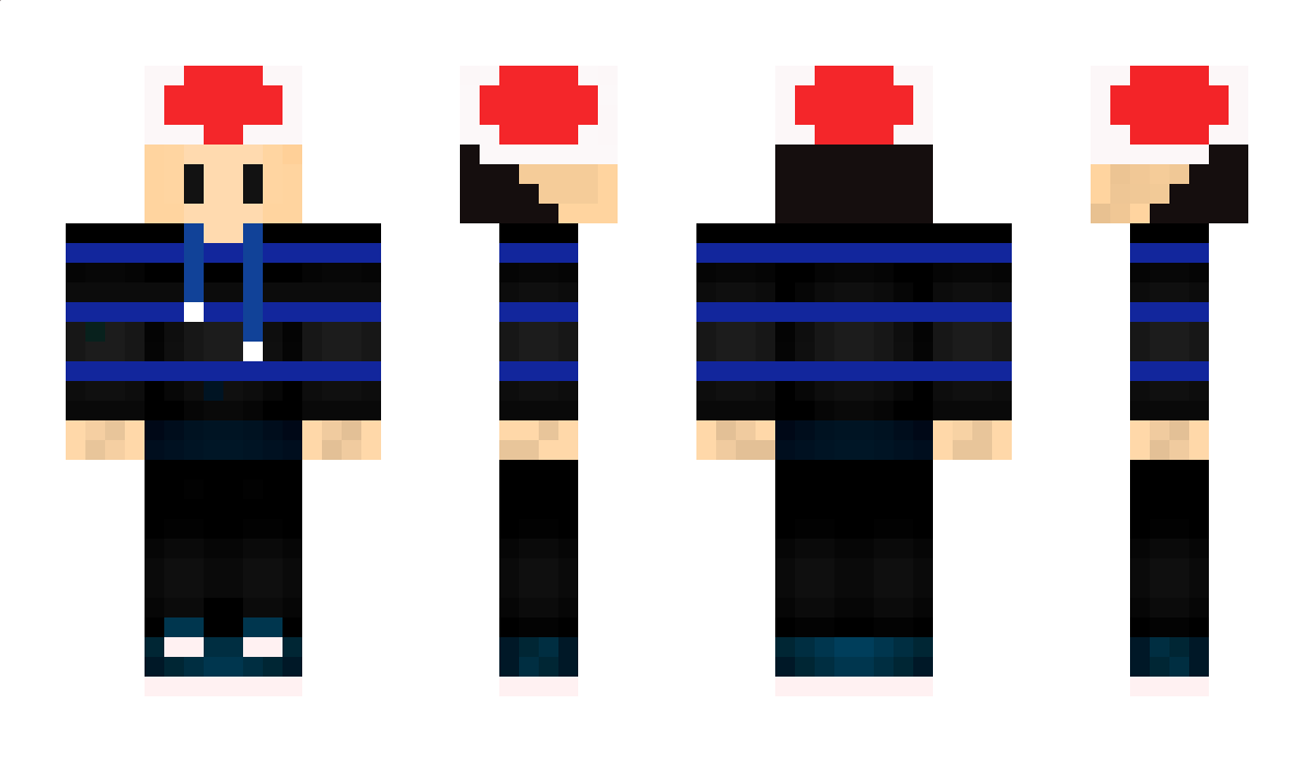 MrGameLetsPlay Minecraft Skin