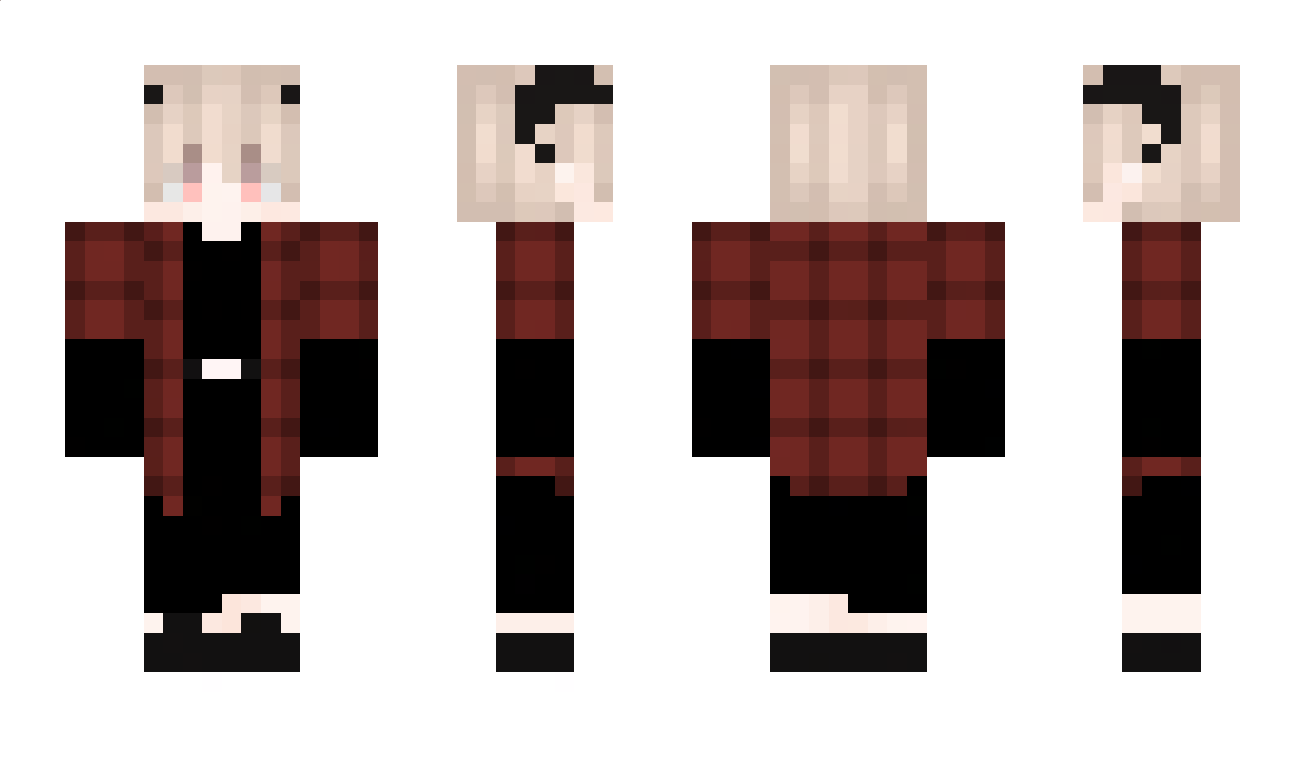 D707 Minecraft Skin