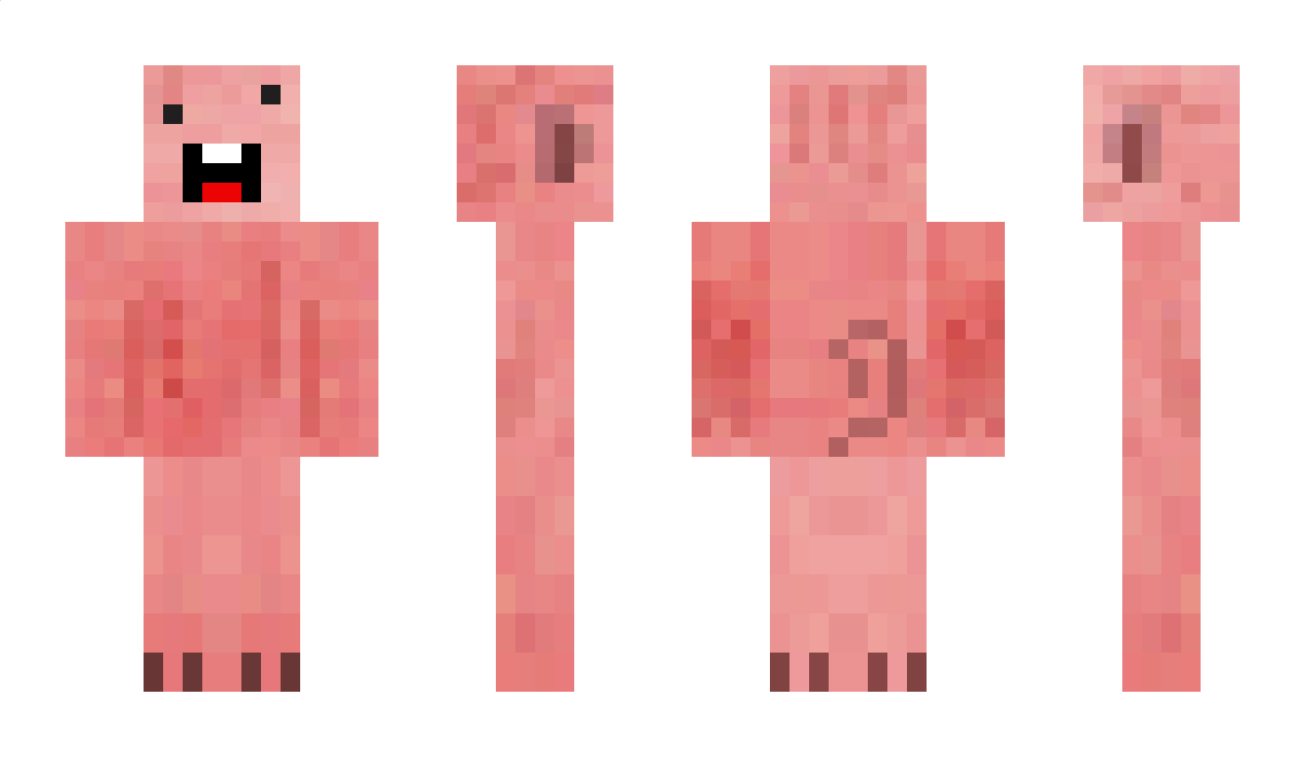 dziobak4 Minecraft Skin