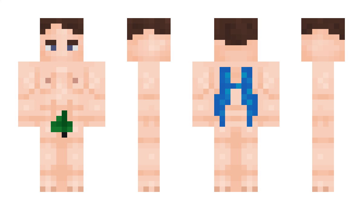 FireBeatle35414 Minecraft Skin