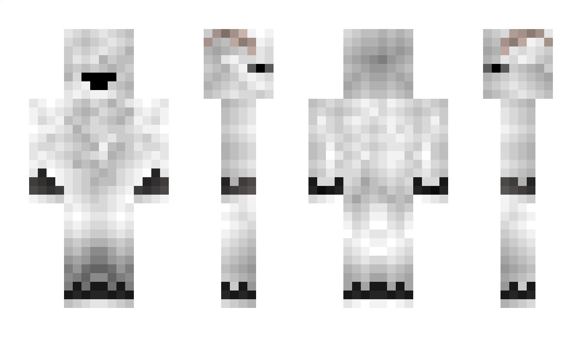 elnumero13 Minecraft Skin