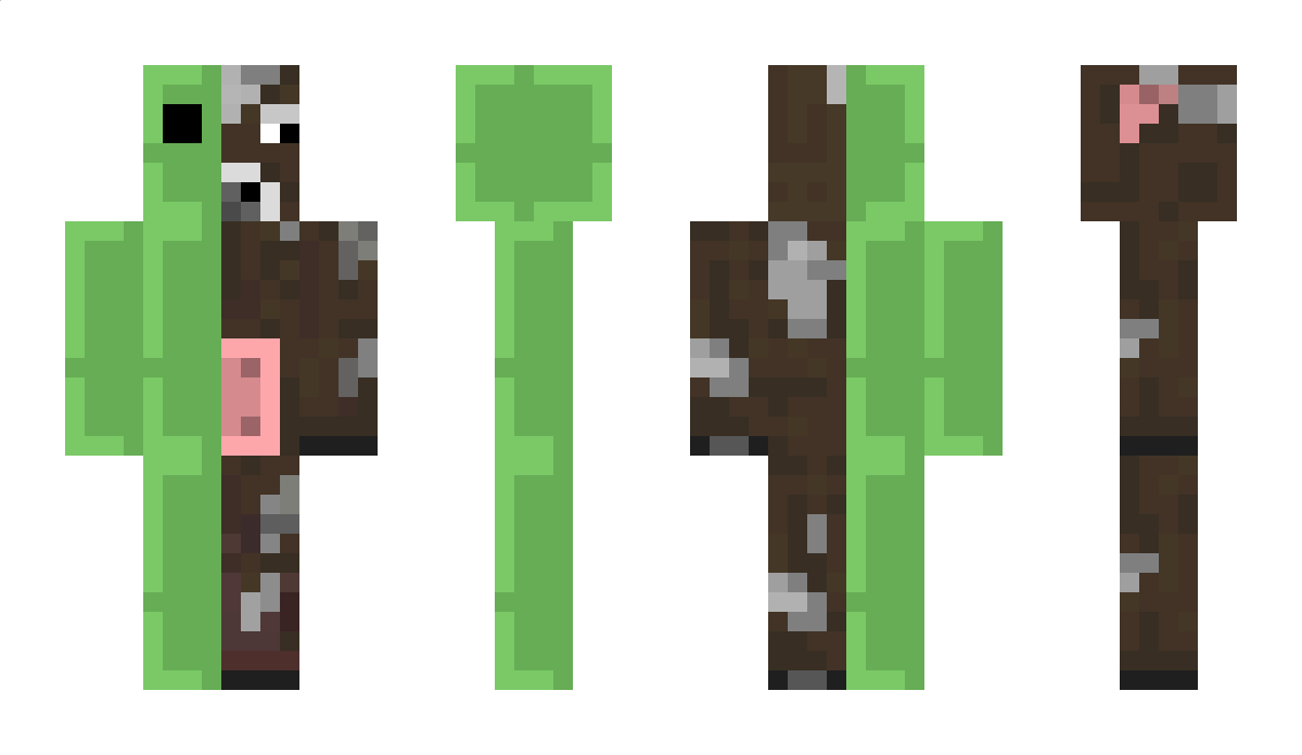 SBBpure Minecraft Skin