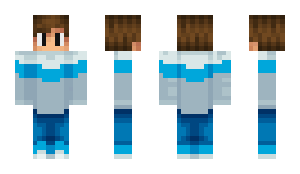 LocalNet Minecraft Skin