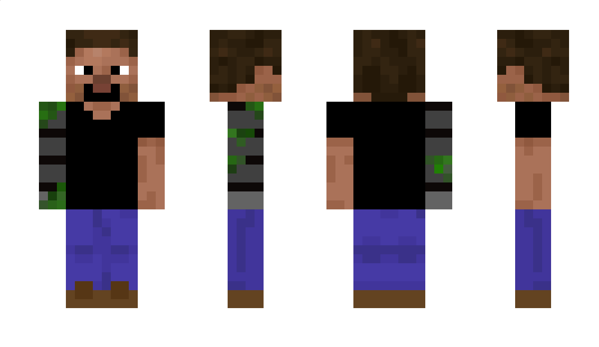 BitcoinBank55 Minecraft Skin