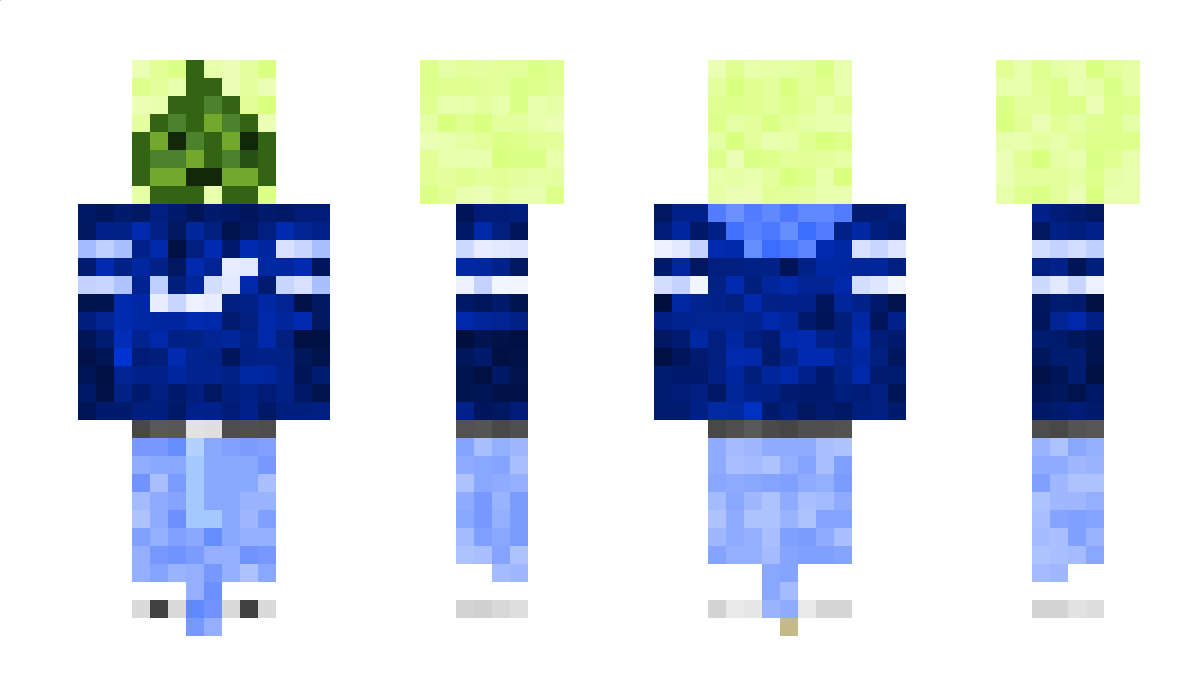 lebronbaka12992 Minecraft Skin