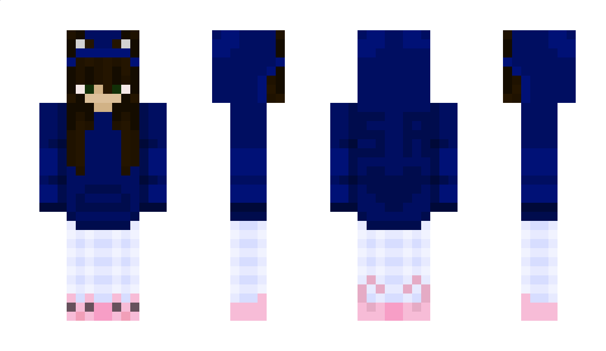 Bucherregal Minecraft Skin