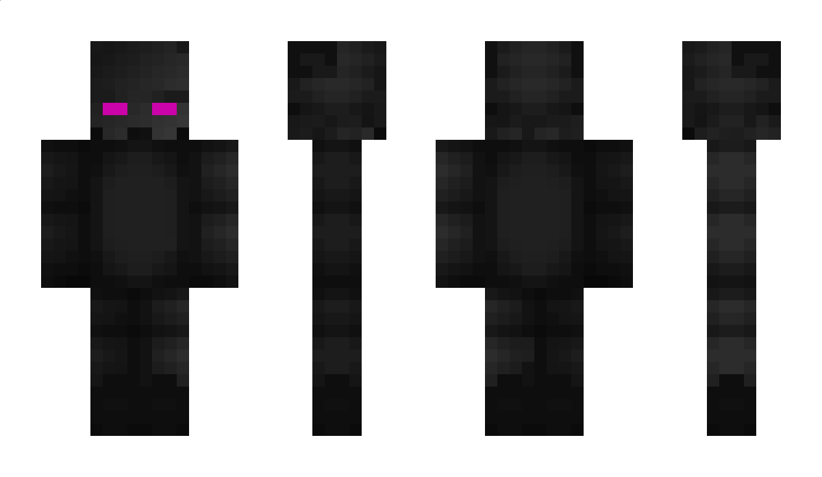 Serwer Minecraft Skin