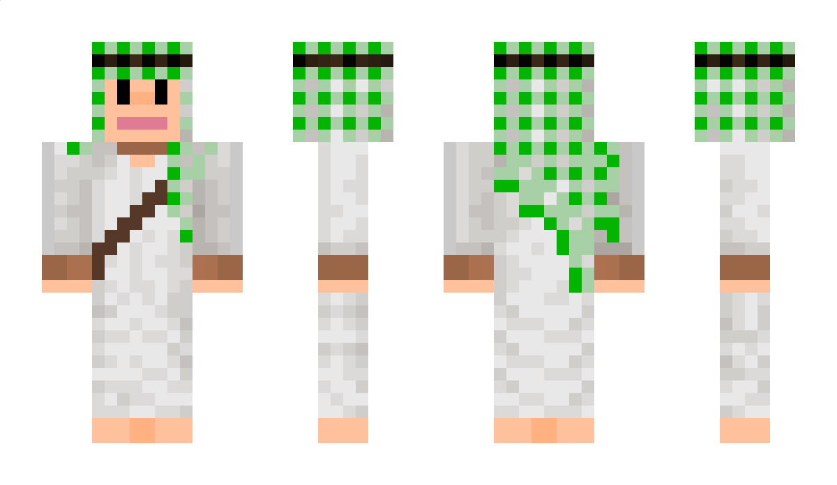 Torre22932 Minecraft Skin