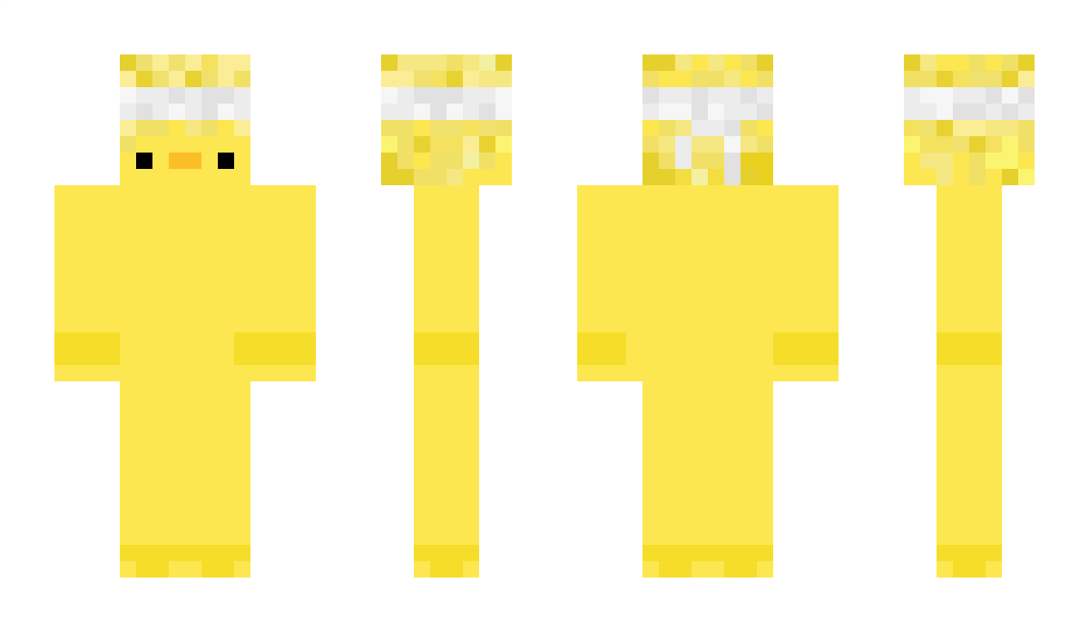 LeDucks Minecraft Skin