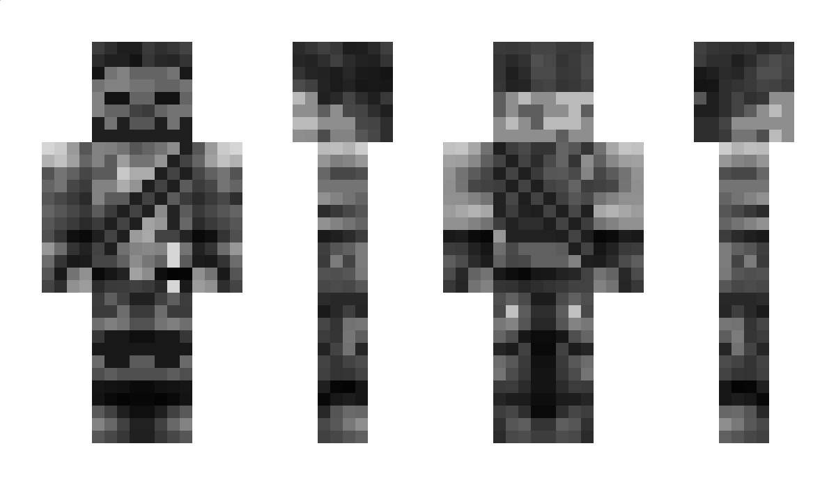 DSW Minecraft Skin