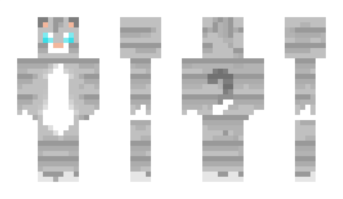 NotMrDrSkittle Minecraft Skin