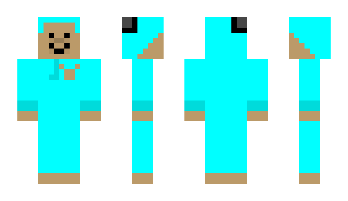 SalaSaTop Minecraft Skin