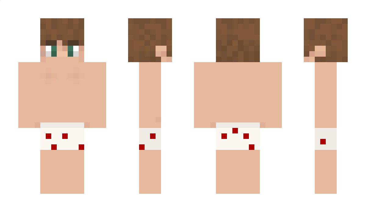 chichou234 Minecraft Skin