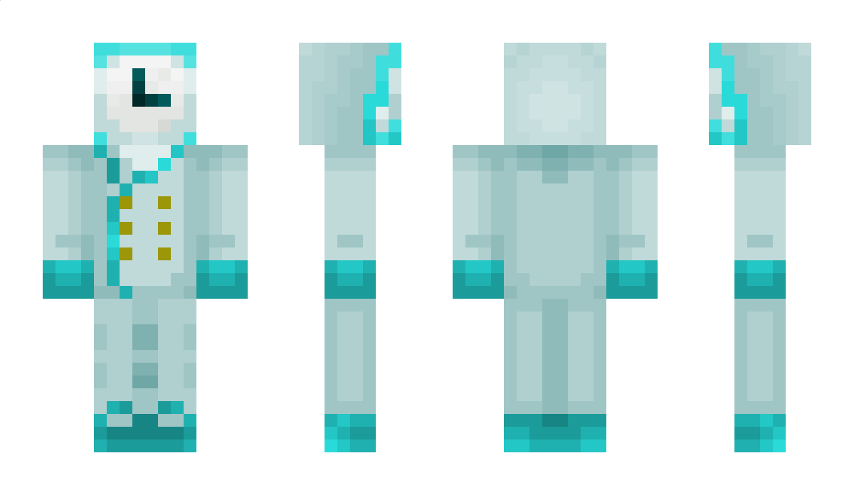 FlagMaster Minecraft Skin