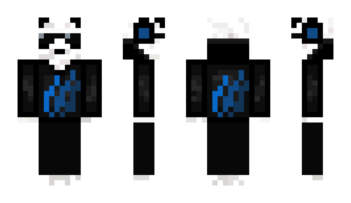 3113 Minecraft Skin