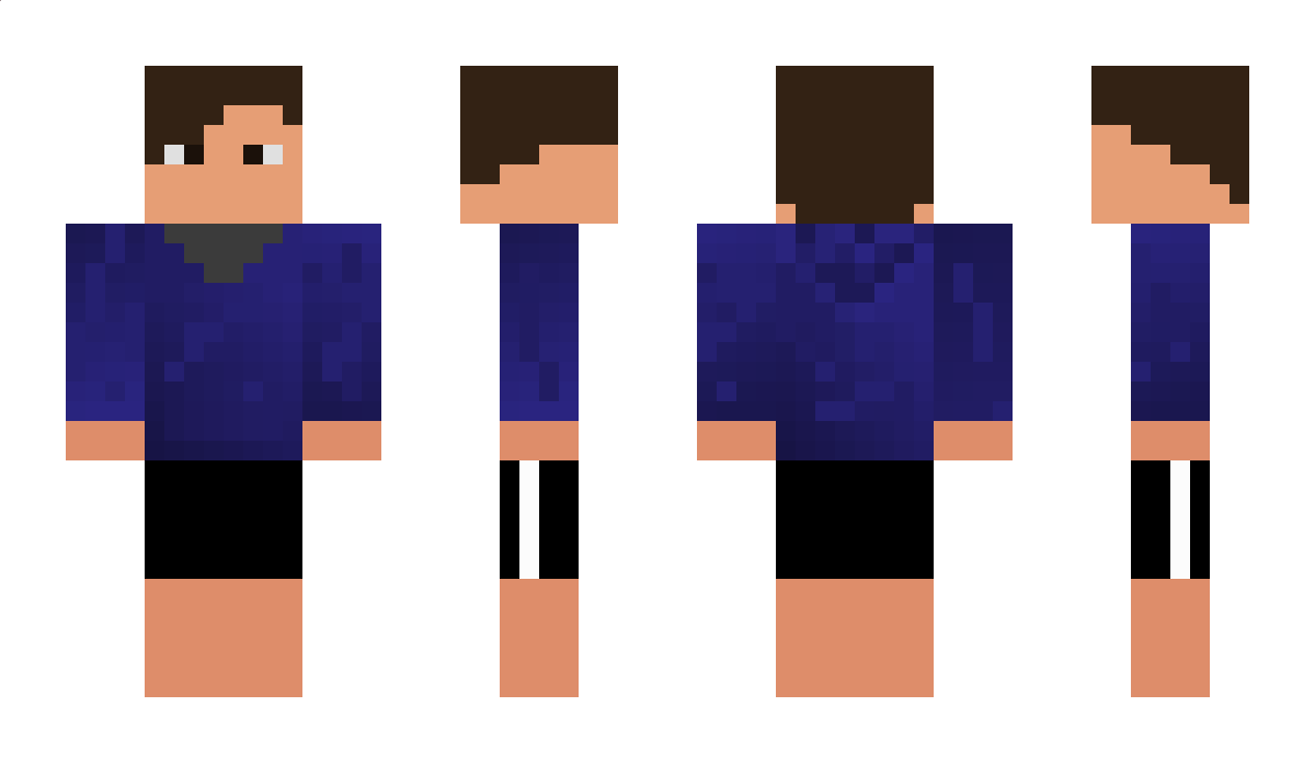 hipickle11 Minecraft Skin