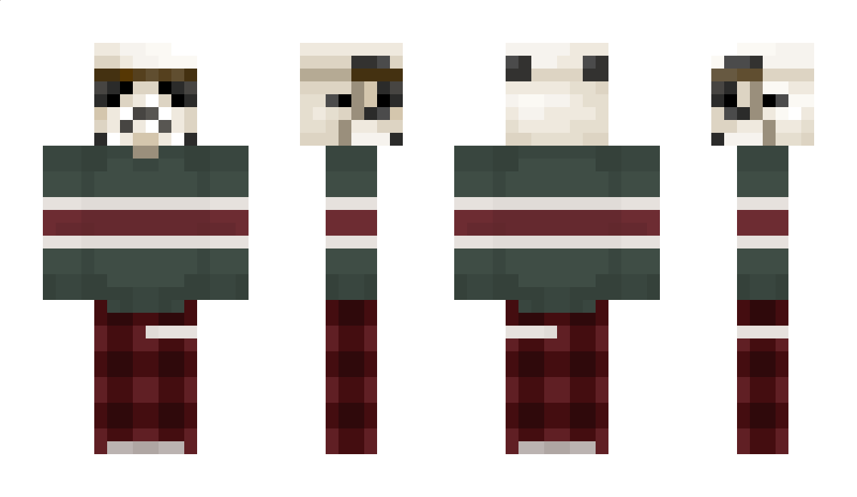 DomikMC Minecraft Skin