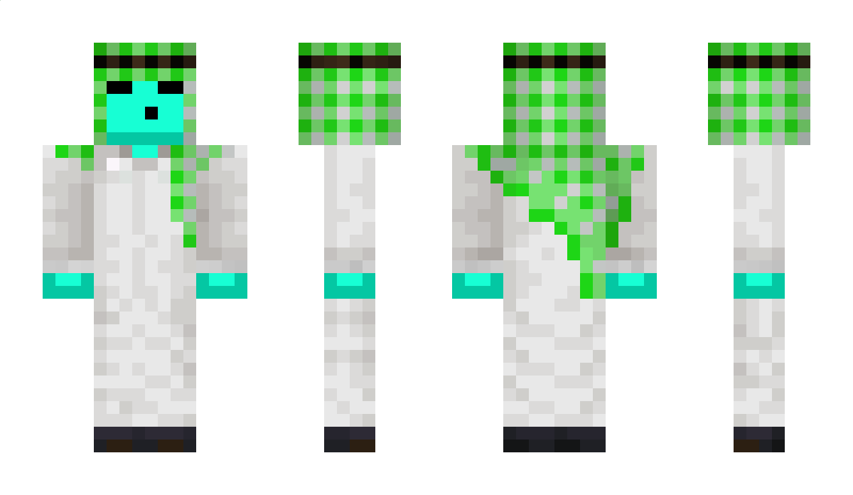 Mr_soMek_609 Minecraft Skin