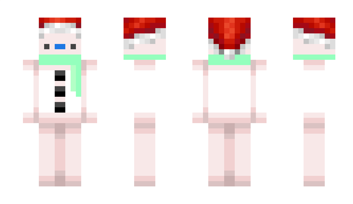 SnowmanSurvivor Minecraft Skin
