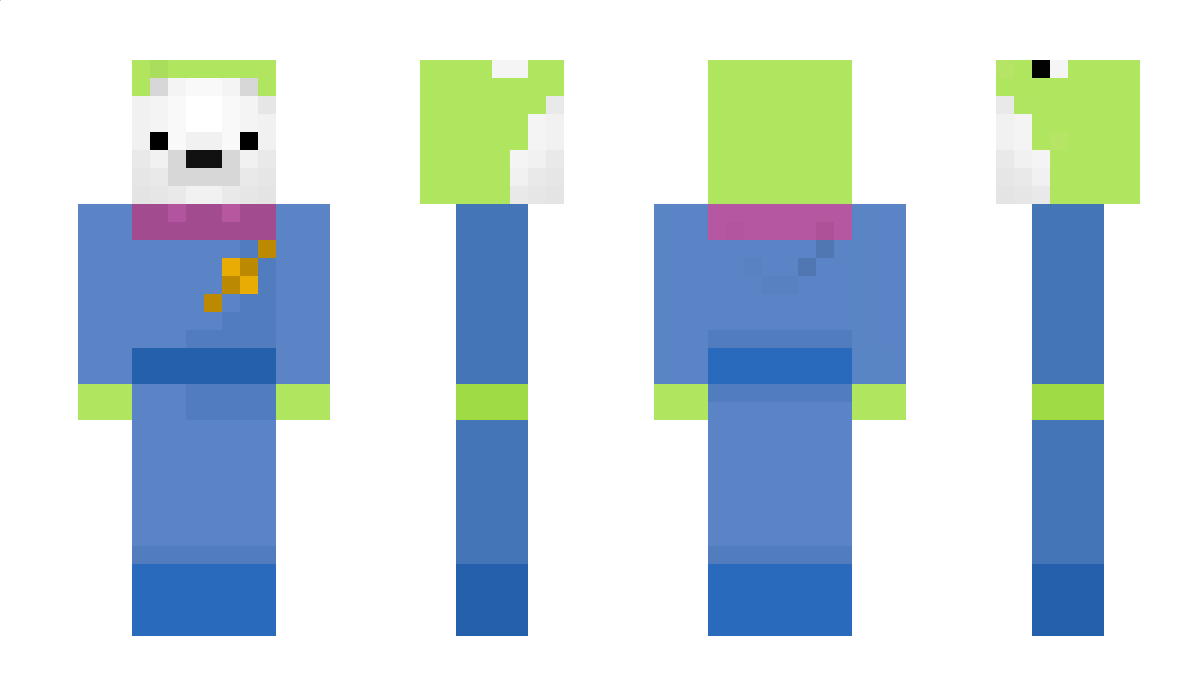 Spraynett Minecraft Skin