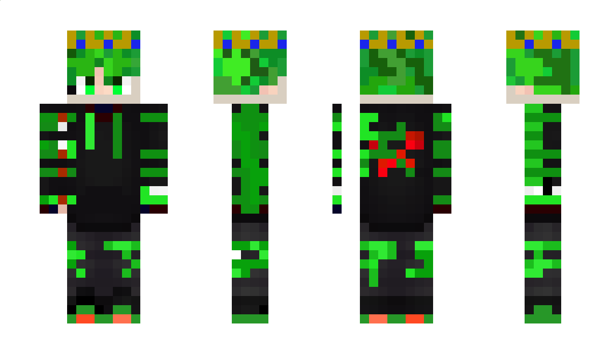 seaweedinbox Minecraft Skin