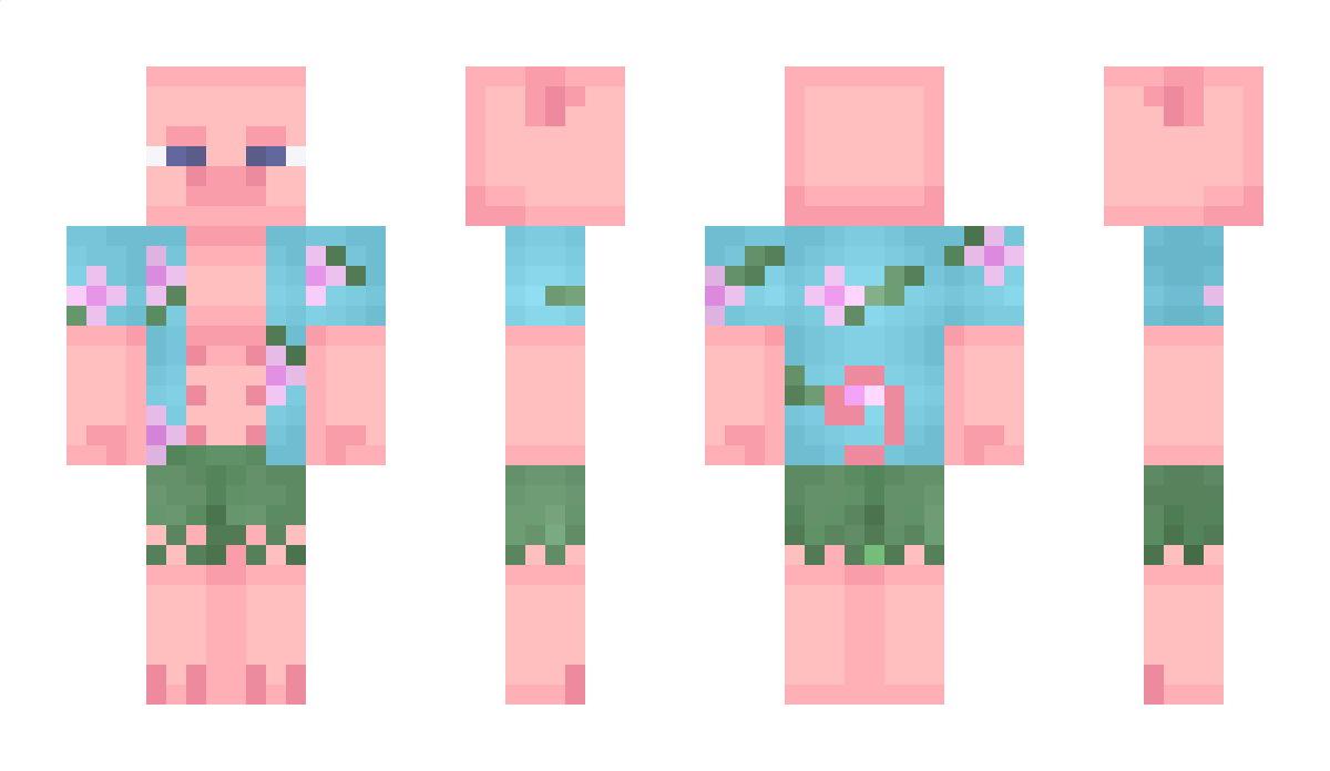 Barhoomy Minecraft Skin