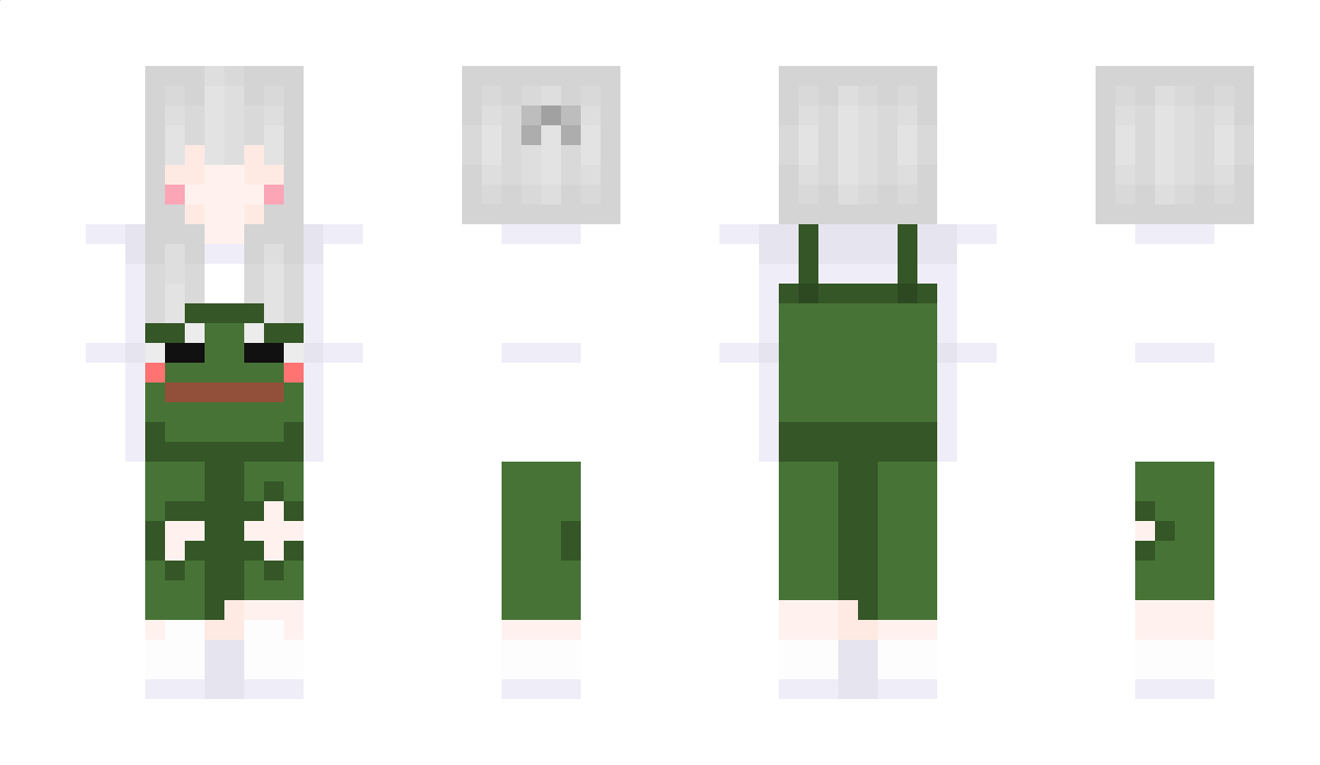 OrdinaryCat Minecraft Skin