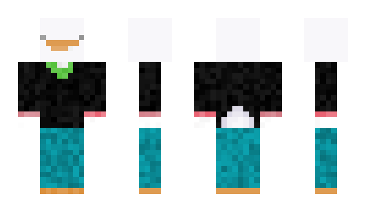 Duck4 Minecraft Skin