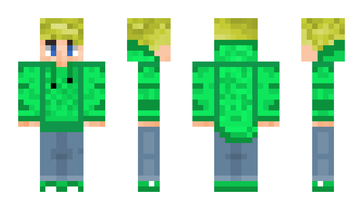 FlawIes Minecraft Skin