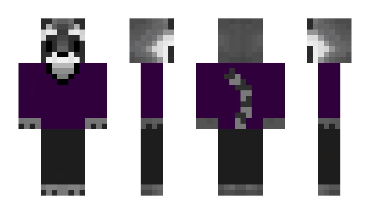 hayleynicole744 Minecraft Skin