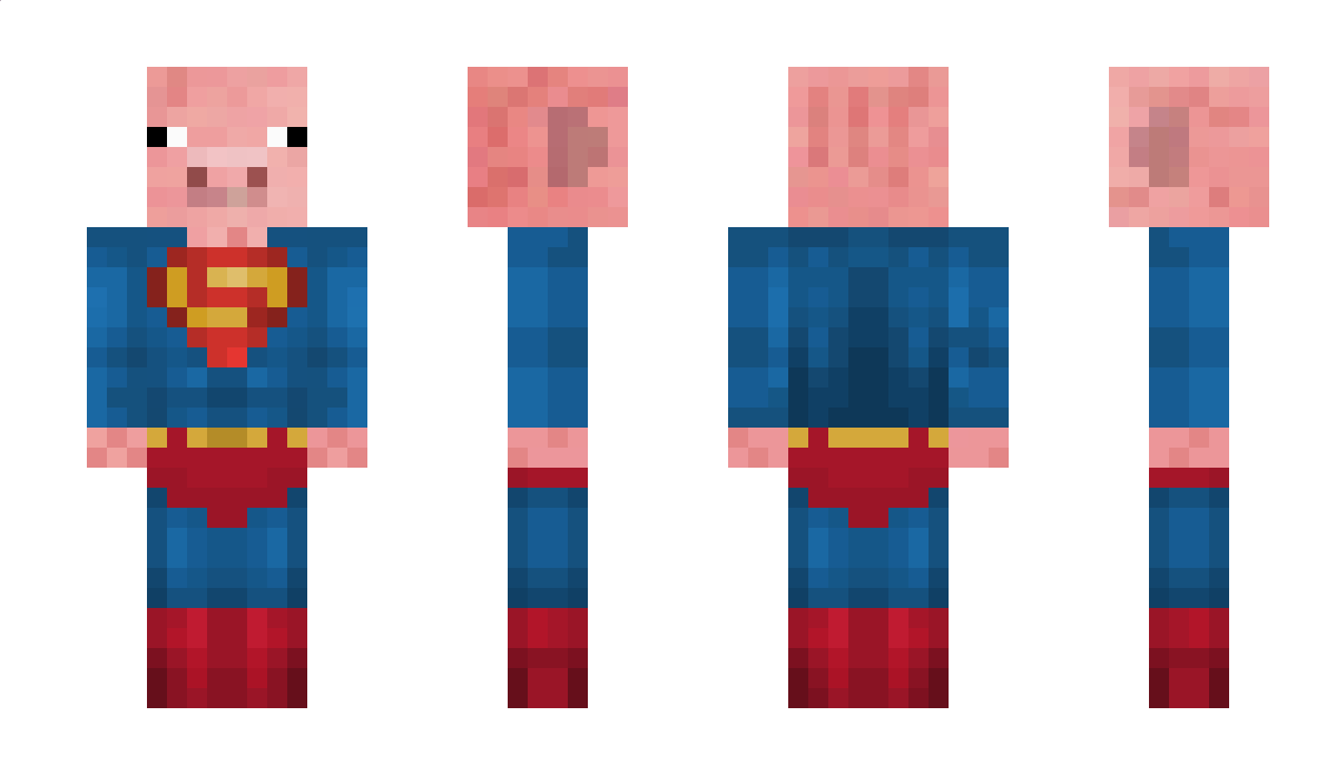 vixoo08 Minecraft Skin