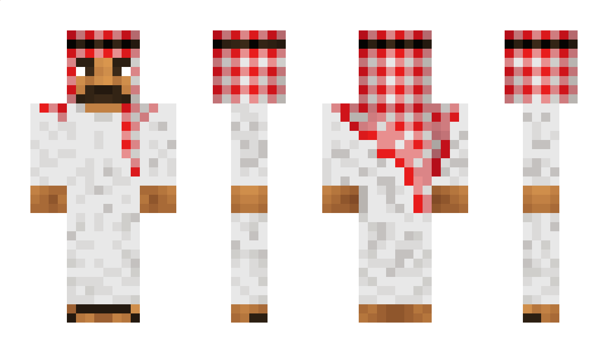 Aran Minecraft Skin