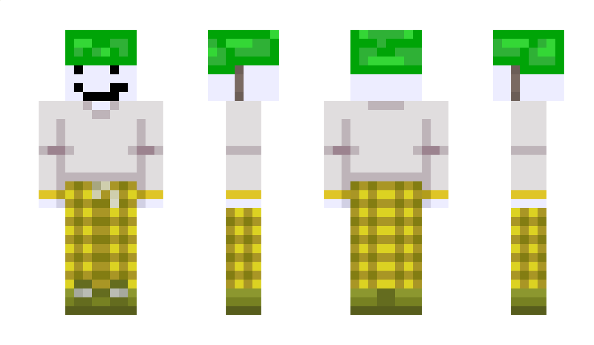 karoleqokej Minecraft Skin