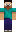 AntPV Minecraft Skin