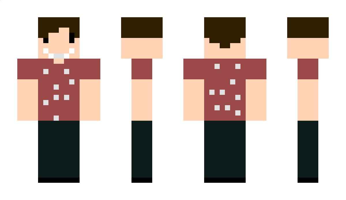 MrfiCraft Minecraft Skin