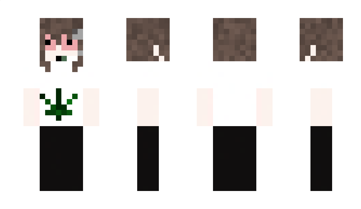 skibidimilan Minecraft Skin