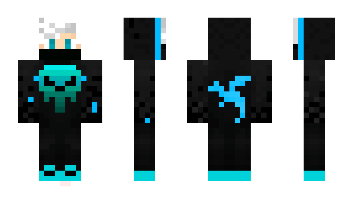 DIDJ_GAMING Minecraft Skin